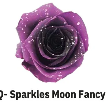 Boyalı Ekvator Gül Mor