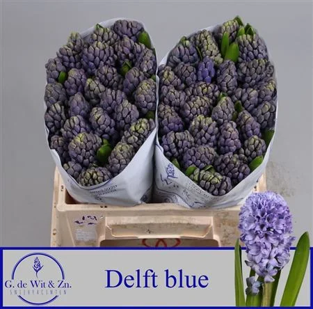 HYAC-DELFT-BLUE-30CM