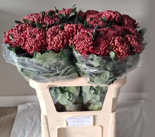 CHR-G-BIGOUDI-RED-70CM