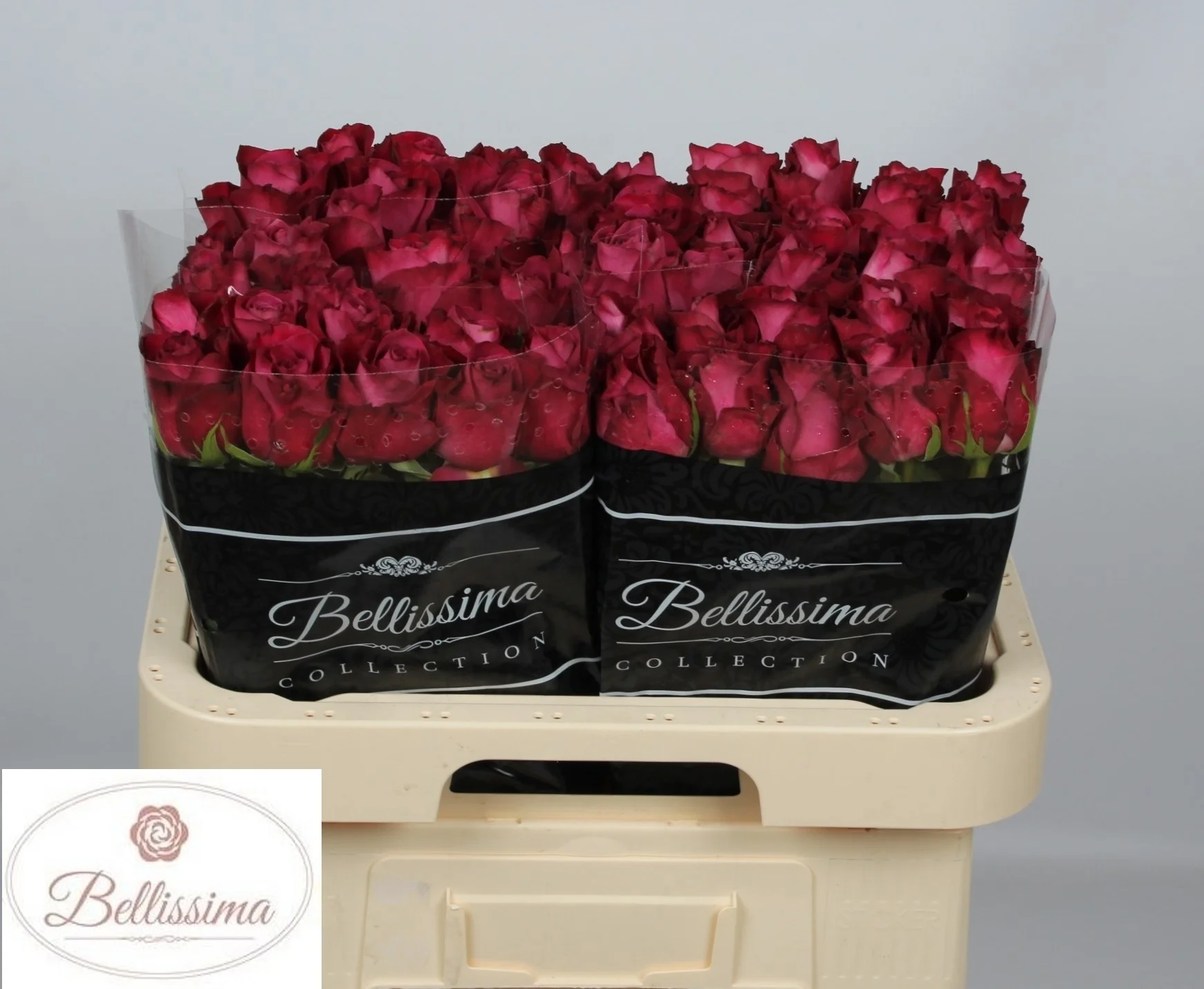 R-GR-INEVITABLE-60CM